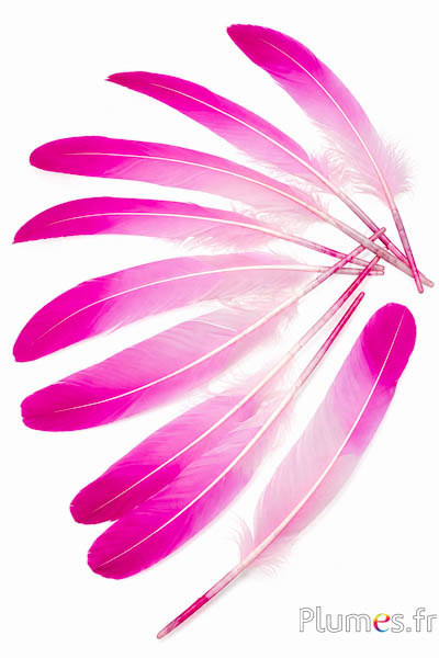 Cigno seta - 25-30 cm - rosa-fucsia